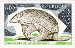 Tatou géant de la Guyane