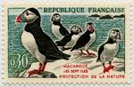 Macaraux (les 7 Îles), protection de la nature.