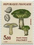 Champignon - Palomet