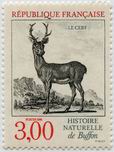 Histoire naturelle de Buffon - Le cerf