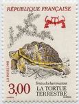 La tortue terrestre