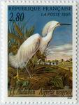 J.J. Audubon - Aigrette neigeuse