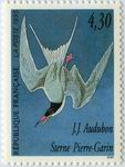 J.J. Audubon - Sterne Pierre-Garin