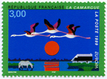 Europa - La camargue