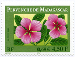 Pervenche de Madagascar