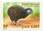 Kiwi austral (Nouvelle-Zélande)