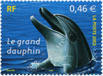 Le grand dauphin