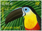 Toucan ariel