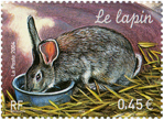 Les animaux de la ferme - Le lapin