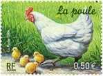 Les animaux de la ferme - La poule