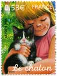 Les jeunes animaux domestiques - Le chaton