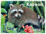 Le Racoon