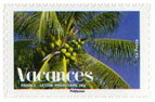 Vacances - Cocotier