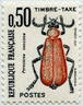 Timbre-Taxe, Pyrochroa coccinea